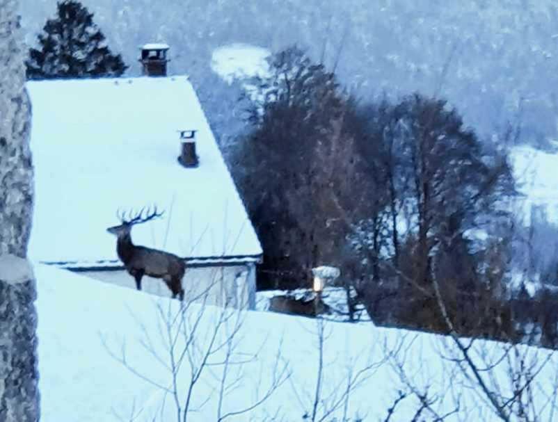 La Ferme De Jean Entre Lacs Et Montagnes Saulxures-sur-Moselotte Exterior photo