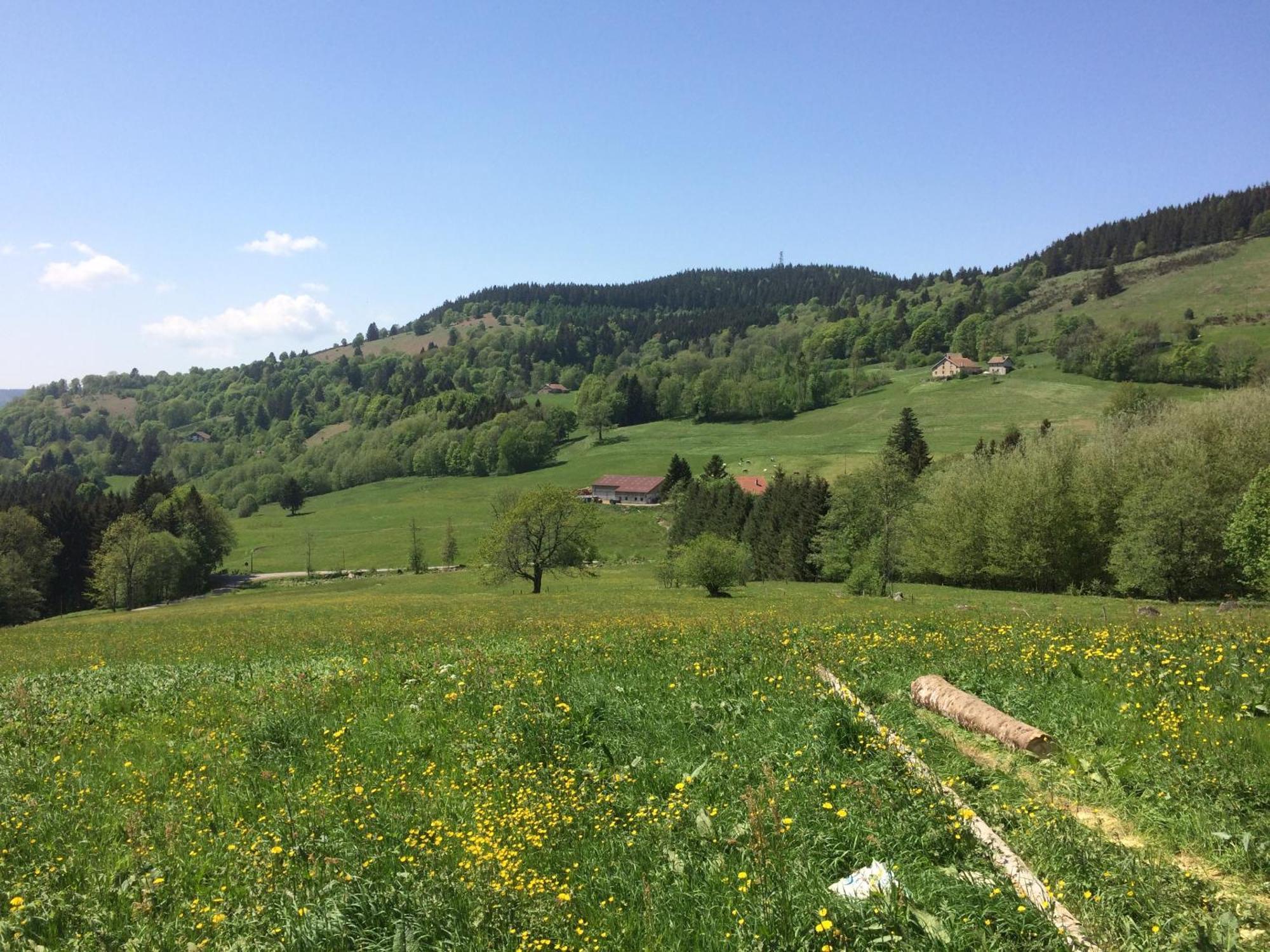La Ferme De Jean Entre Lacs Et Montagnes Saulxures-sur-Moselotte Exterior photo